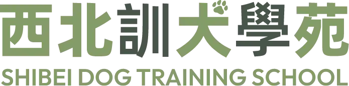 真正站立世界舞台