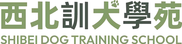 真正站立世界舞台