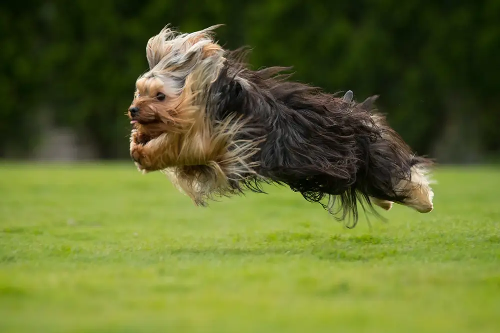 800坪校區的動靜平衡