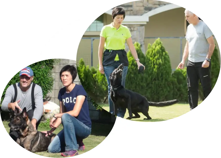 教育沒有標準公式，只有最適合的方式