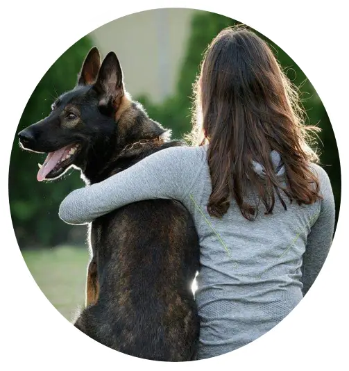 真正的訓犬，不應該只在賽場上拿高分，更要在客廳裡讓家人安心