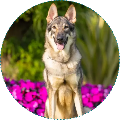 階段一：基本生活課程