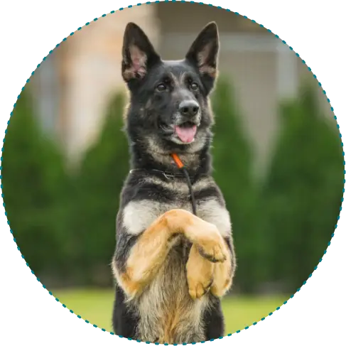 階段三：無繩大學課程